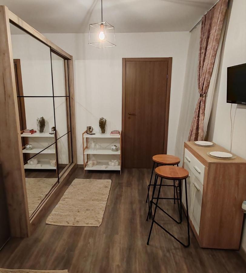 Apartmán Studio Grigio Sibiu Exteriér fotografie