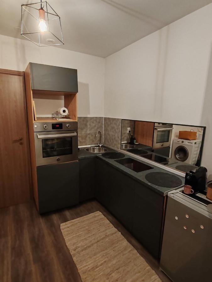 Apartmán Studio Grigio Sibiu Exteriér fotografie
