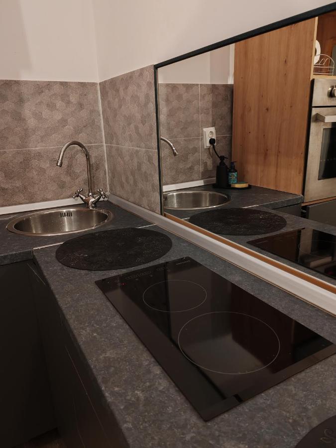 Apartmán Studio Grigio Sibiu Exteriér fotografie